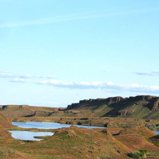 Birding Site of the week image