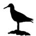 Birding Site of the week image